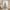 Snow-Flocked Artificial Christmas Tree, 2–9 FT, Unlit or Pre-Lit