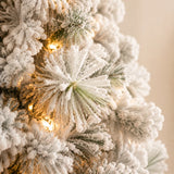Close-up of flocked pine branches and warm white Christmas lights