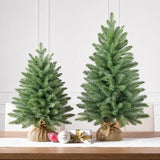 Unlit Blue-Green PE/PVC Artificial Christmas Tree, 2–9 FT
