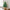 Unlit Blue-Green PE/PVC Artificial Christmas Tree, 2–9 FT