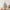 Snow-Flocked Artificial Christmas Tree, 2–9 FT, Unlit or Pre-Lit
