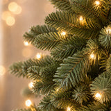 Close-up of green PVC branch tips and warm lights