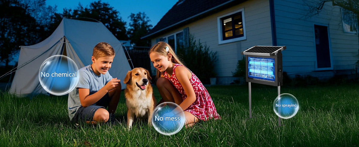 Comfort for family time