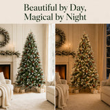 Snow-kissed Christmas tree shown unlit by day and glowing with warm lights at night