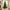 Classic green artificial Christmas tree displayed in a bright holiday living room