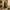 Classic green artificial Christmas tree in a warm fireplace setting