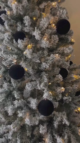 Customer video preview